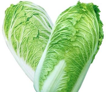 大白菜的四大养生功效 大白菜的四大养生功效